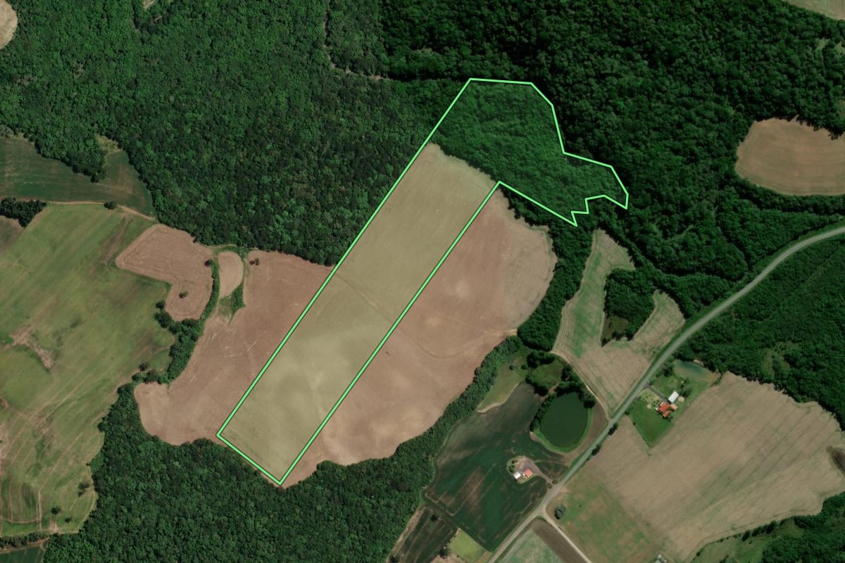 Imagem de satélite do imóvel rural em Irati (PR), com o contorno declarado no CAR desenhado por cima.