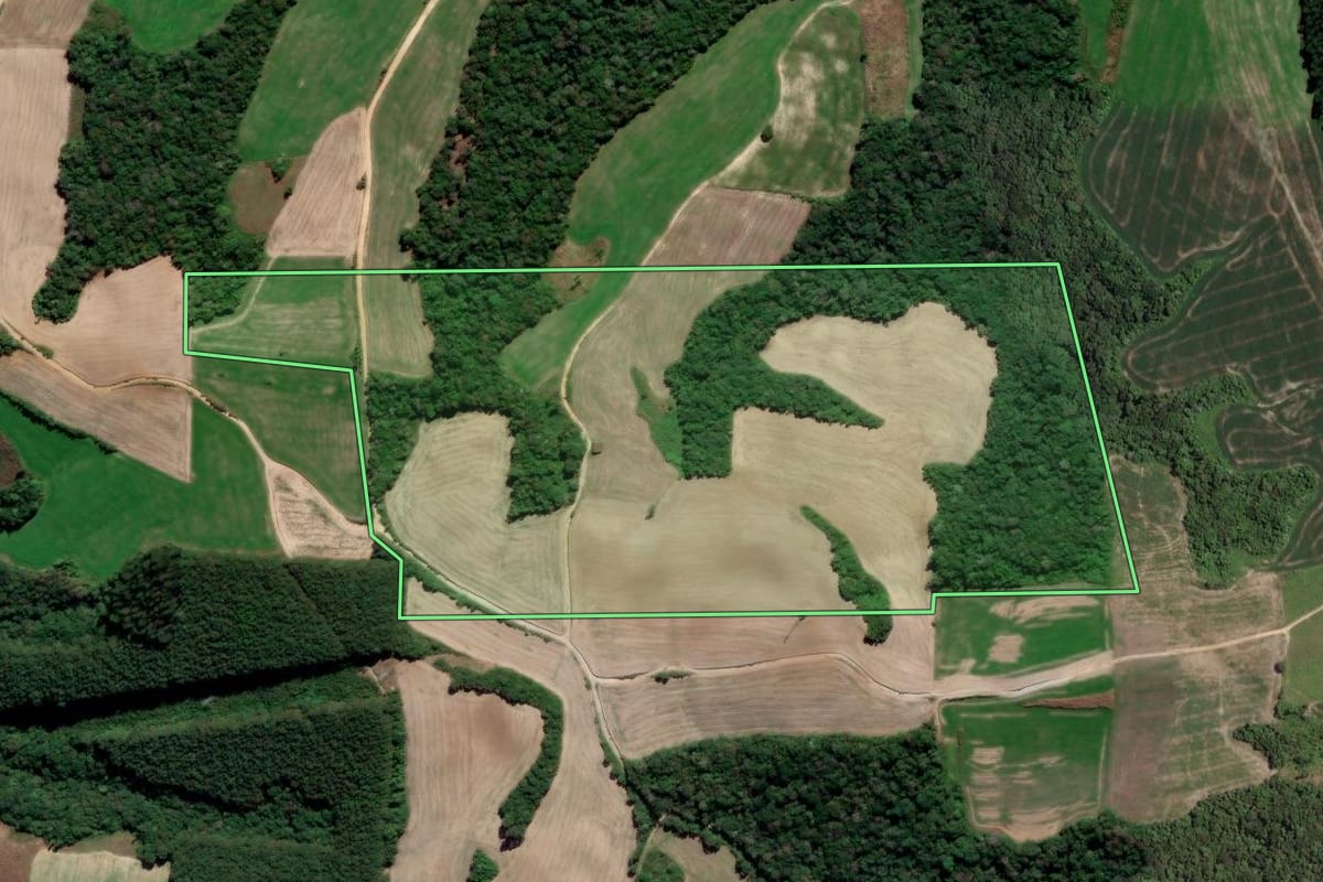 Imagem de satélite do imóvel rural em Irati (PR), com o contorno declarado no CAR desenhado por cima.