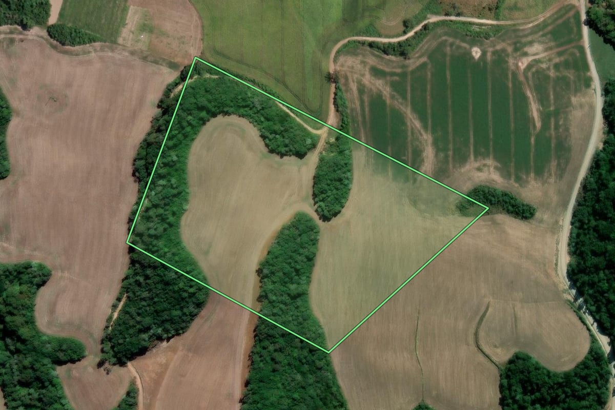 Imagem de satélite do imóvel rural em Irati (PR), com o contorno declarado no CAR desenhado por cima.