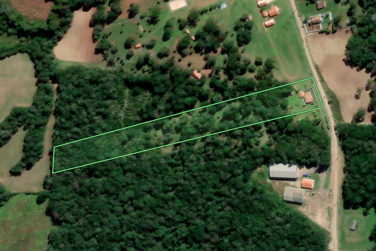 Imagem de satélite do imóvel rural em Irati (PR), com o contorno declarado no CAR desenhado por cima.