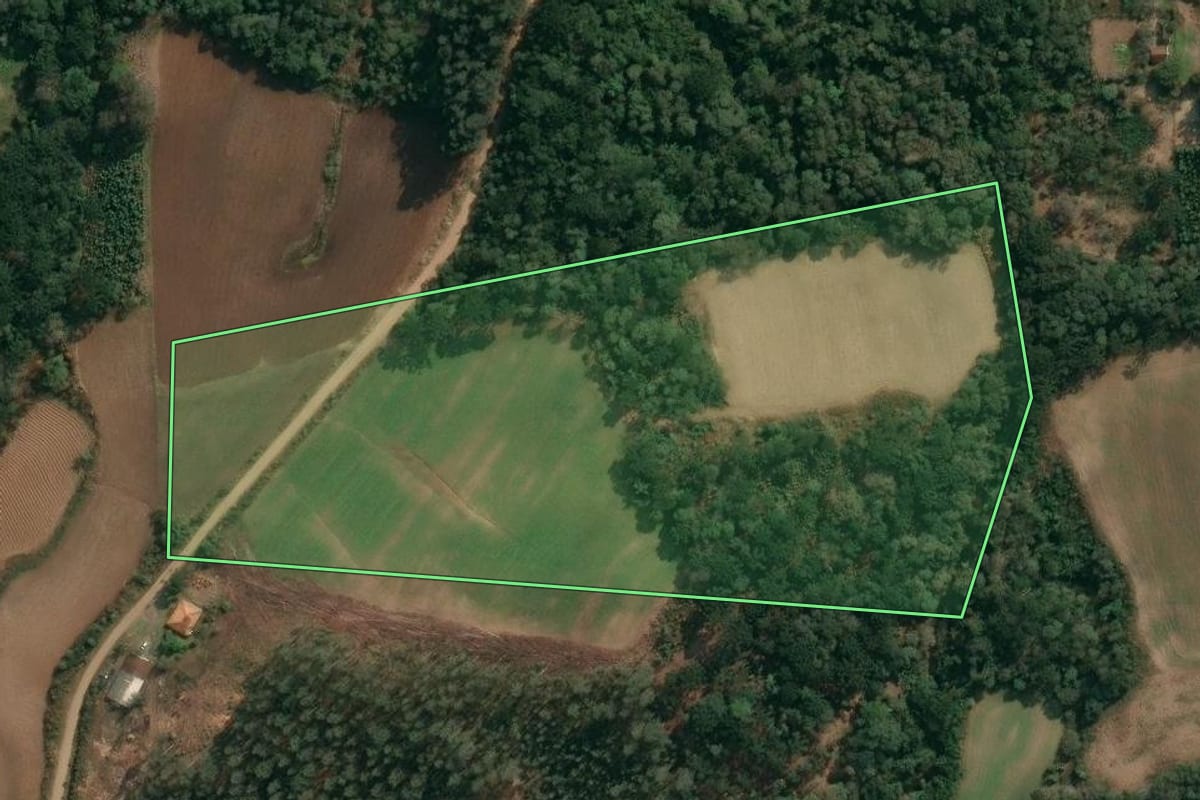 Imagem de satélite do imóvel rural em Irati (PR), com o contorno declarado no CAR desenhado por cima.