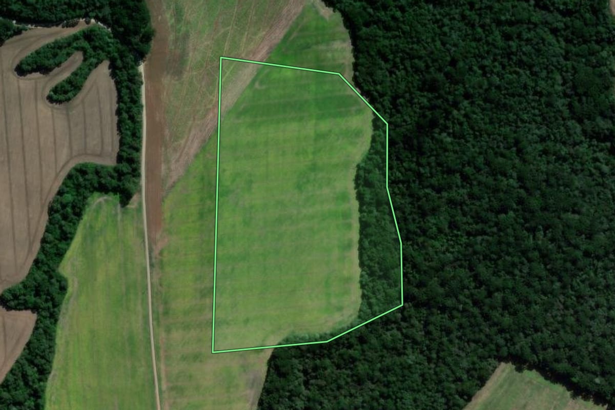 Imagem de satélite do imóvel rural em Irati (PR), com o contorno declarado no CAR desenhado por cima.