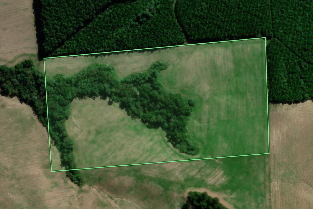 Imagem de satélite do imóvel rural em Irati (PR), com o contorno declarado no CAR desenhado por cima.