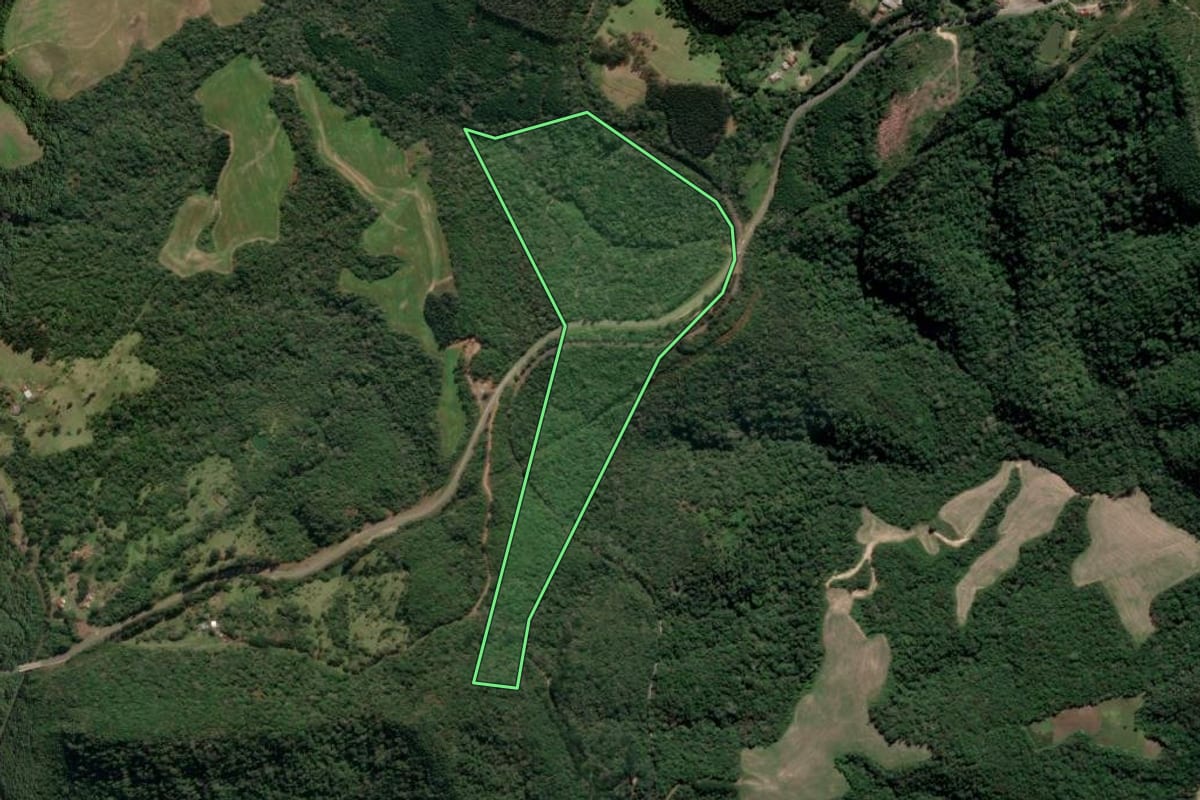 Imagem de satélite do imóvel rural em Irati (PR), com o contorno declarado no CAR desenhado por cima.