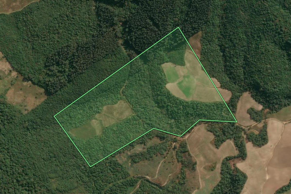 Imagem de satélite do imóvel rural em Irati (PR), com o contorno declarado no CAR desenhado por cima.