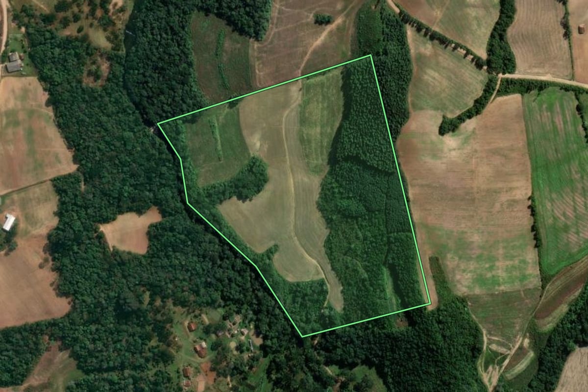 Imagem de satélite do imóvel rural em Irati (PR), com o contorno declarado no CAR desenhado por cima.