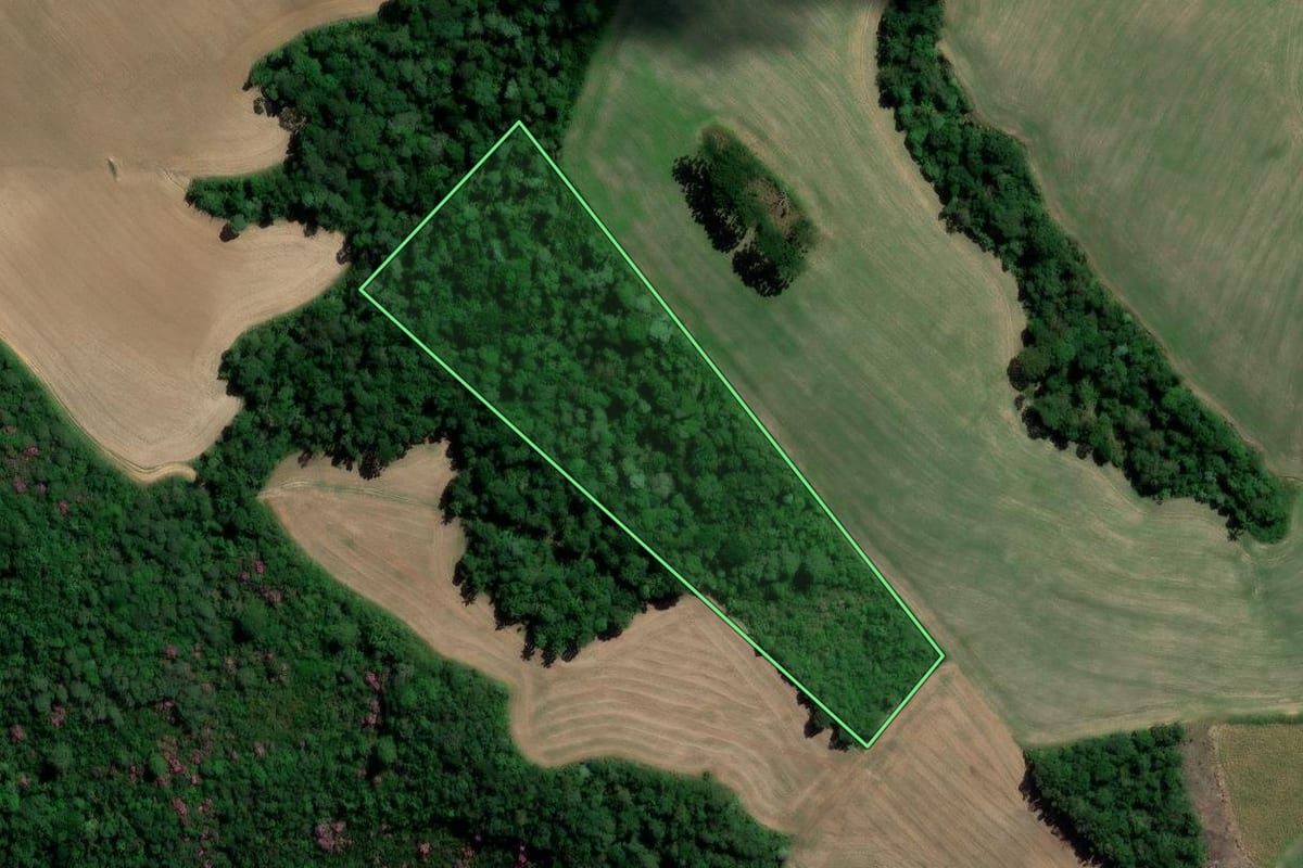 Imagem de satélite do imóvel rural em Irati (PR), com o contorno declarado no CAR desenhado por cima.