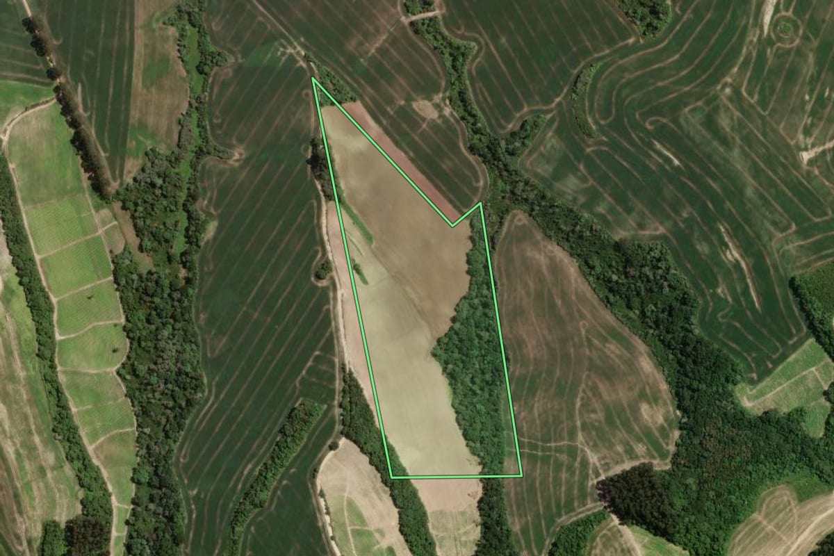 Imagem de satélite do imóvel rural em Irati (PR), com o contorno declarado no CAR desenhado por cima.