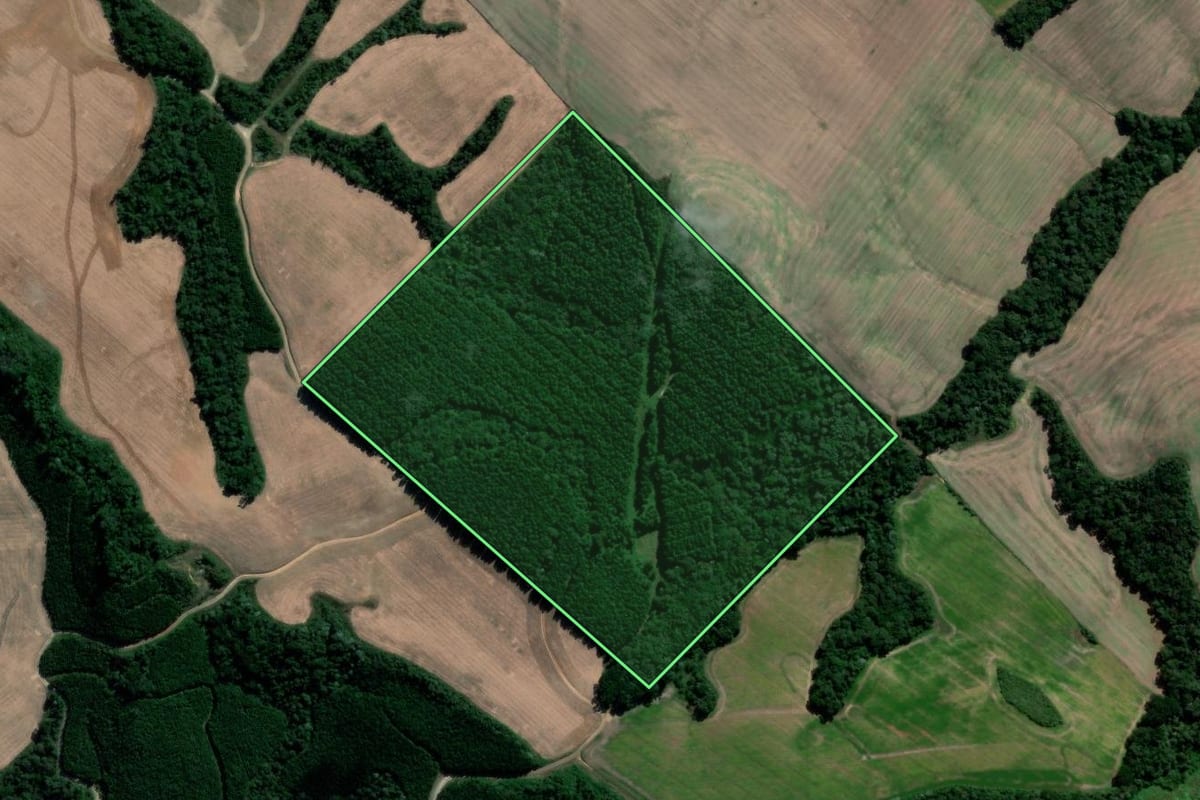 Imagem de satélite do imóvel rural em Irati (PR), com o contorno declarado no CAR desenhado por cima.