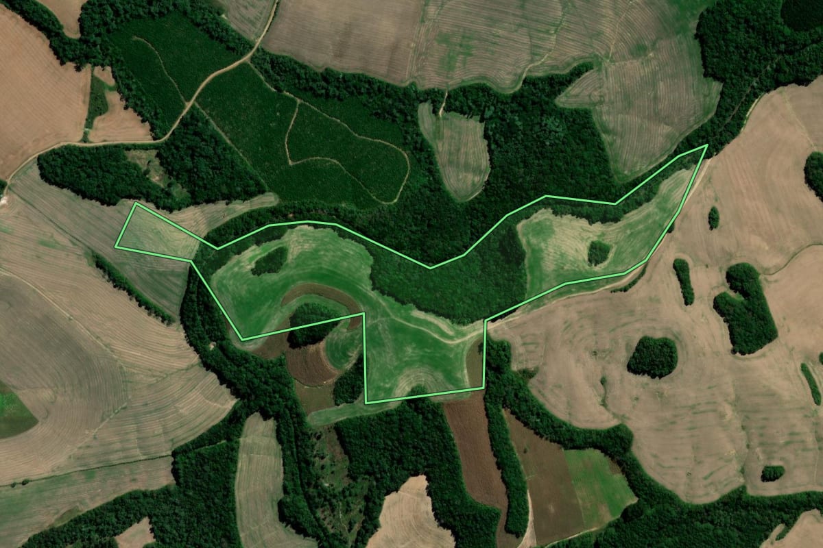 Imagem de satélite do imóvel rural em Irati (PR), com o contorno declarado no CAR desenhado por cima.