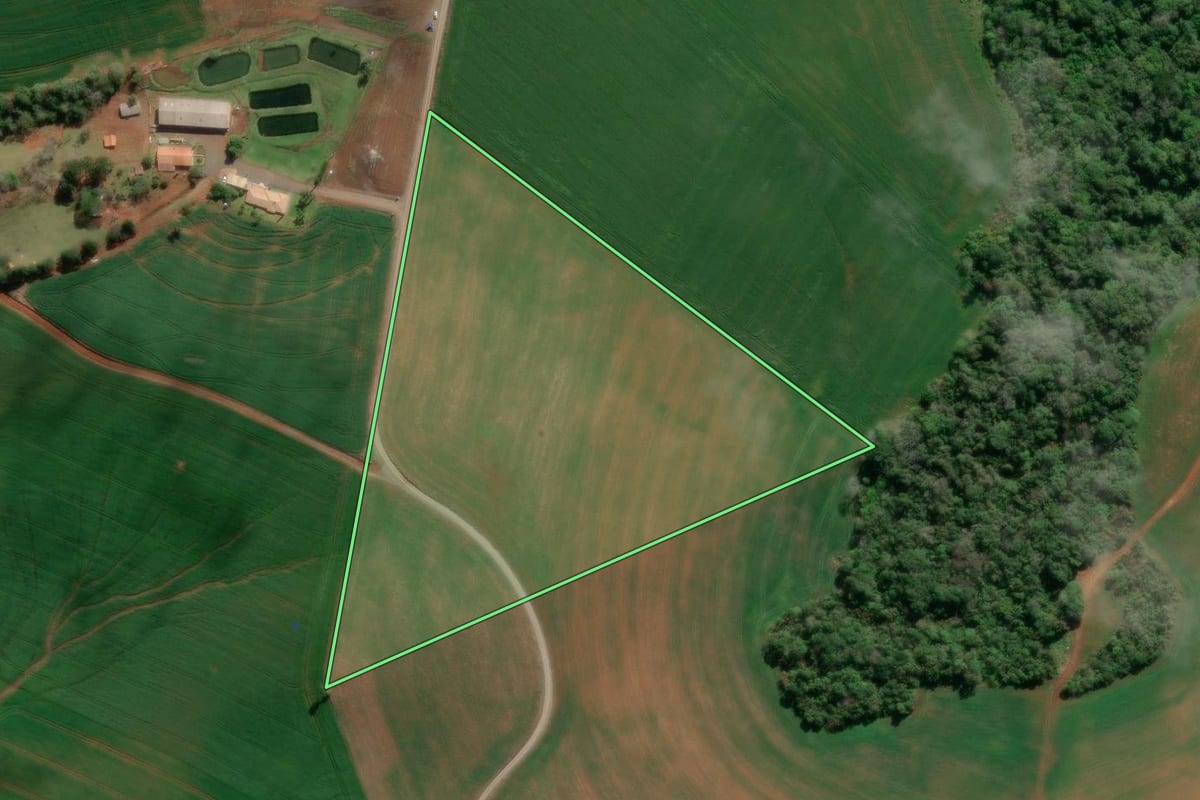 Imagem de satélite do imóvel rural em Irati (PR), com o contorno declarado no CAR desenhado por cima.