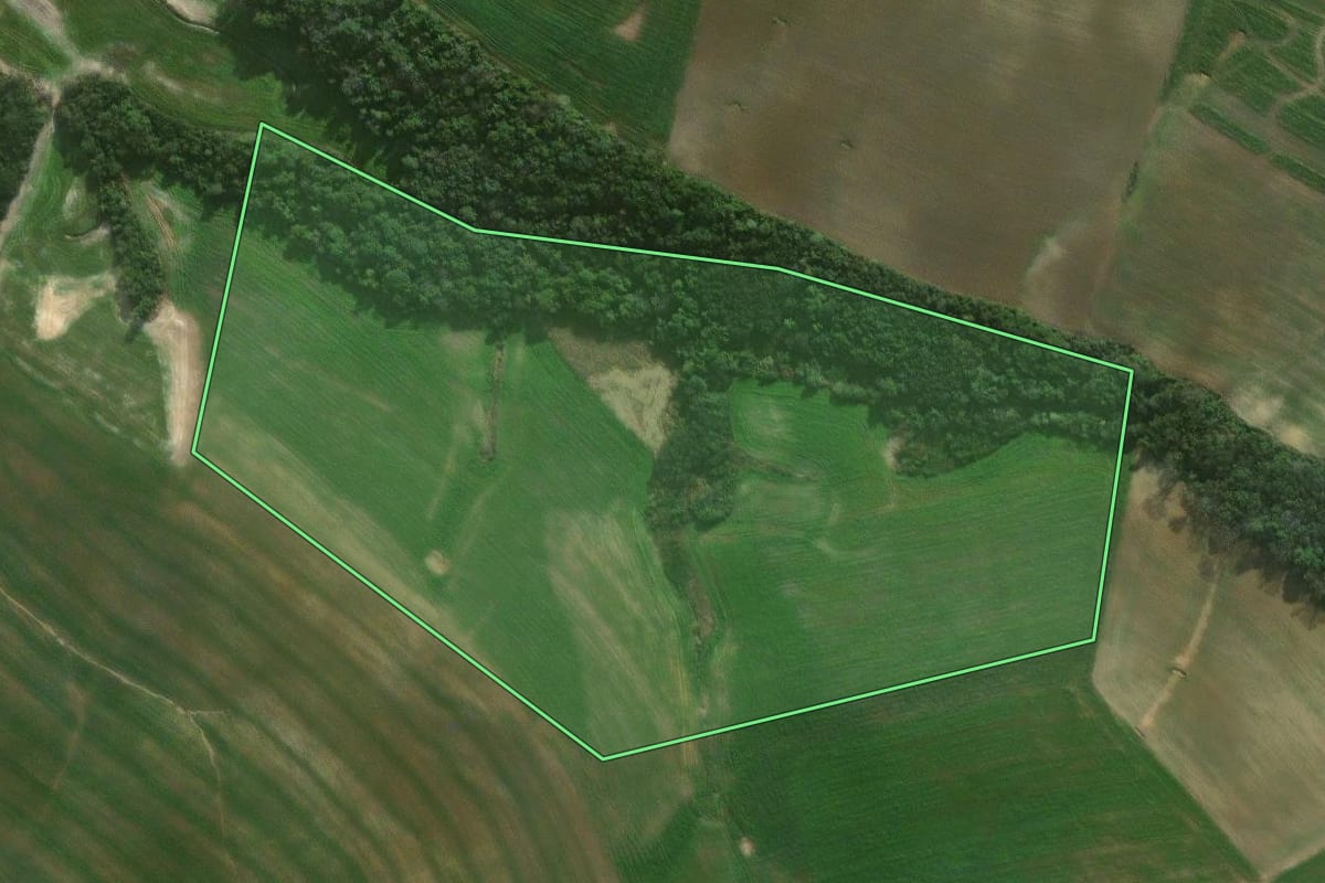 Imagem de satélite do imóvel rural em Irati (PR), com o contorno declarado no CAR desenhado por cima.