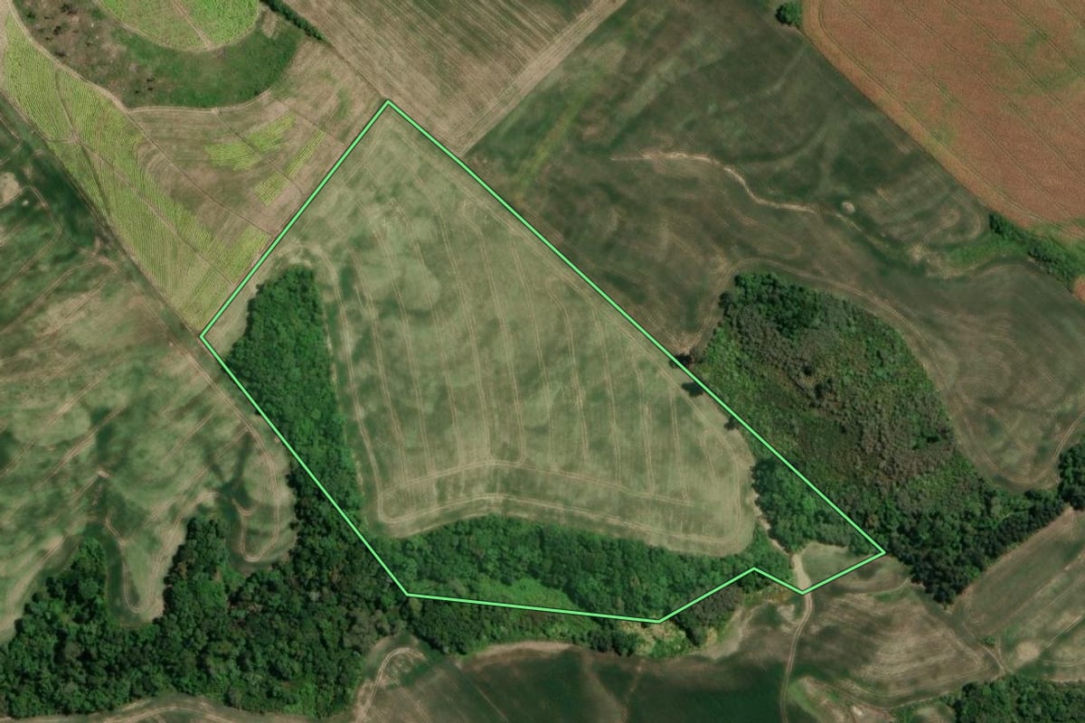 Imagem de satélite do imóvel rural em Irati (PR), com o contorno declarado no CAR desenhado por cima.