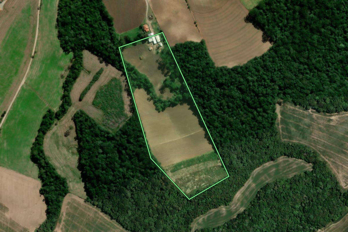 Imagem de satélite do imóvel rural em Irati (PR), com o contorno declarado no CAR desenhado por cima.