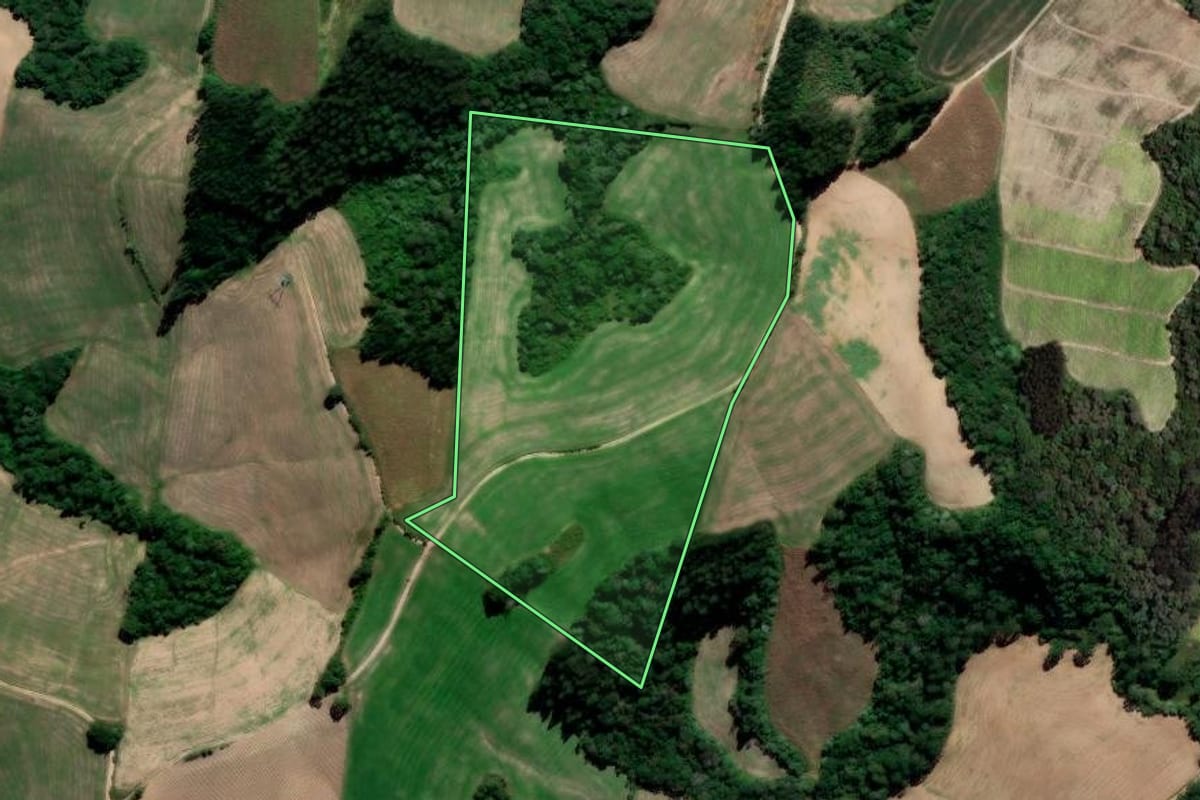 Imagem de satélite do imóvel rural em Irati (PR), com o contorno declarado no CAR desenhado por cima.