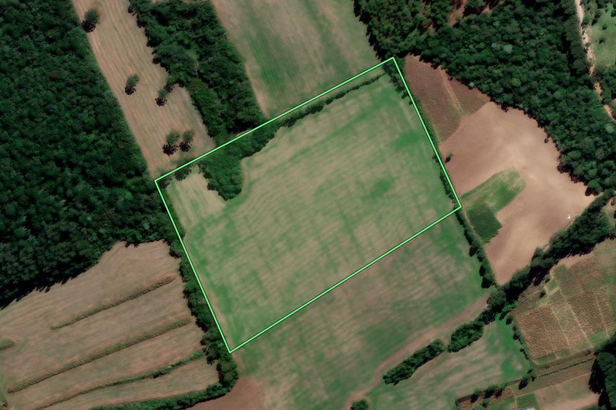 Imagem de satélite do imóvel rural em Irati (PR), com o contorno declarado no CAR desenhado por cima.