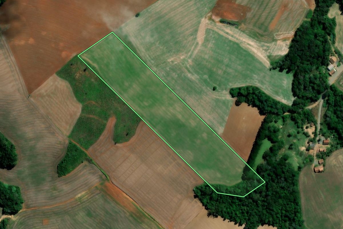 Imagem de satélite do imóvel rural em Irati (PR), com o contorno declarado no CAR desenhado por cima.