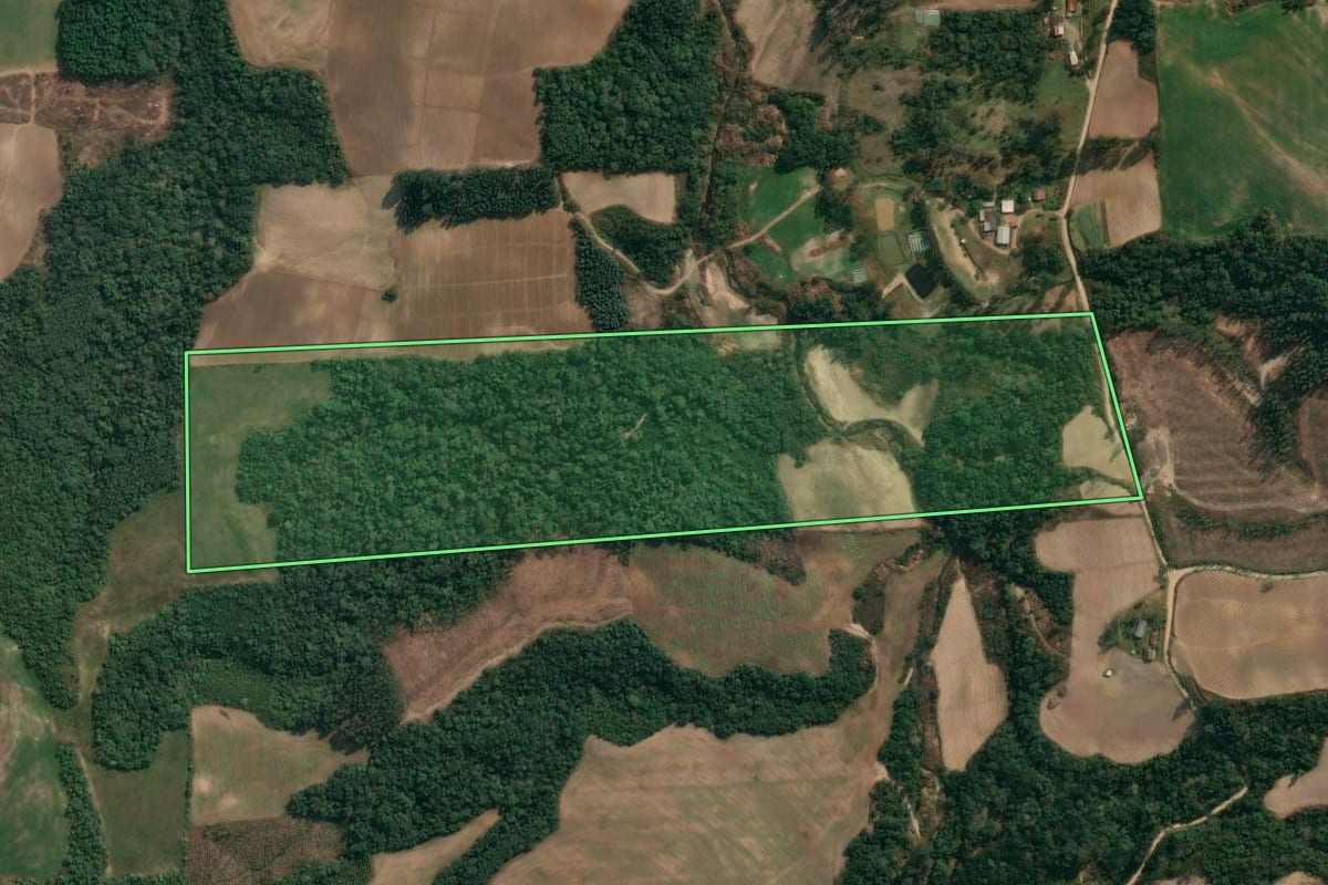 Imagem de satélite do imóvel rural em Irati (PR), com o contorno declarado no CAR desenhado por cima.
