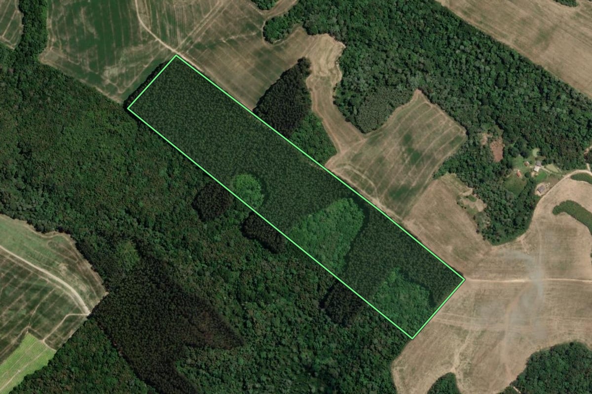 Imagem de satélite do imóvel rural em Irati (PR), com o contorno declarado no CAR desenhado por cima.