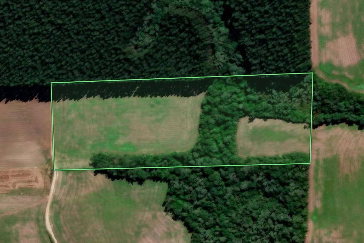Imagem de satélite do imóvel rural em Irati (PR), com o contorno declarado no CAR desenhado por cima.
