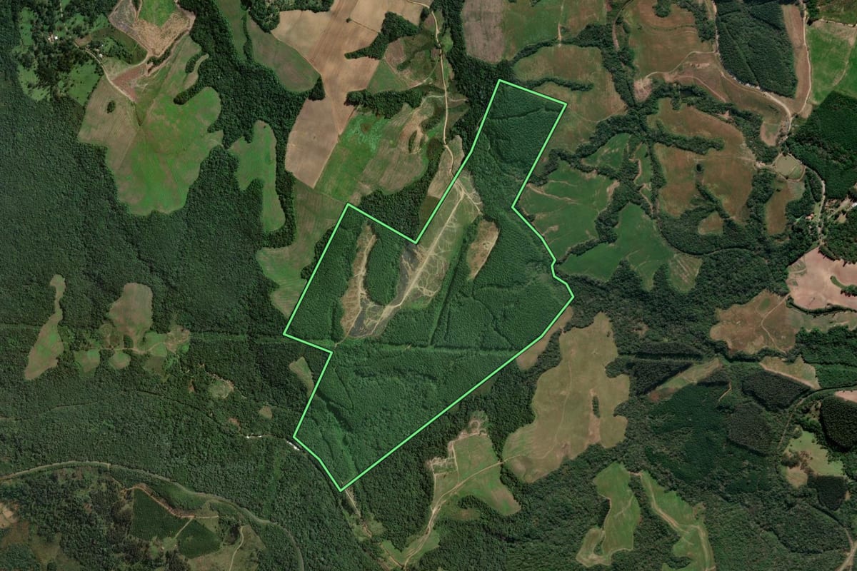Imagem de satélite do imóvel rural em Irati (PR), com o contorno declarado no CAR desenhado por cima.