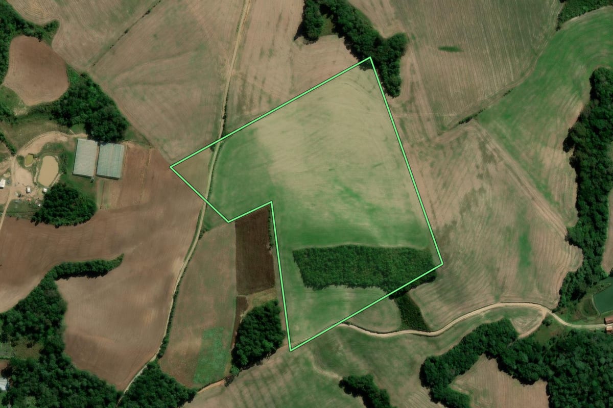 Imagem de satélite do imóvel rural em Irati (PR), com o contorno declarado no CAR desenhado por cima.