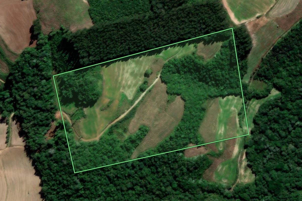 Imagem de satélite do imóvel rural em Irati (PR), com o contorno declarado no CAR desenhado por cima.