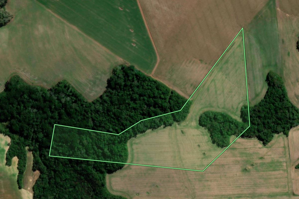 Imagem de satélite do imóvel rural em Irati (PR), com o contorno declarado no CAR desenhado por cima.