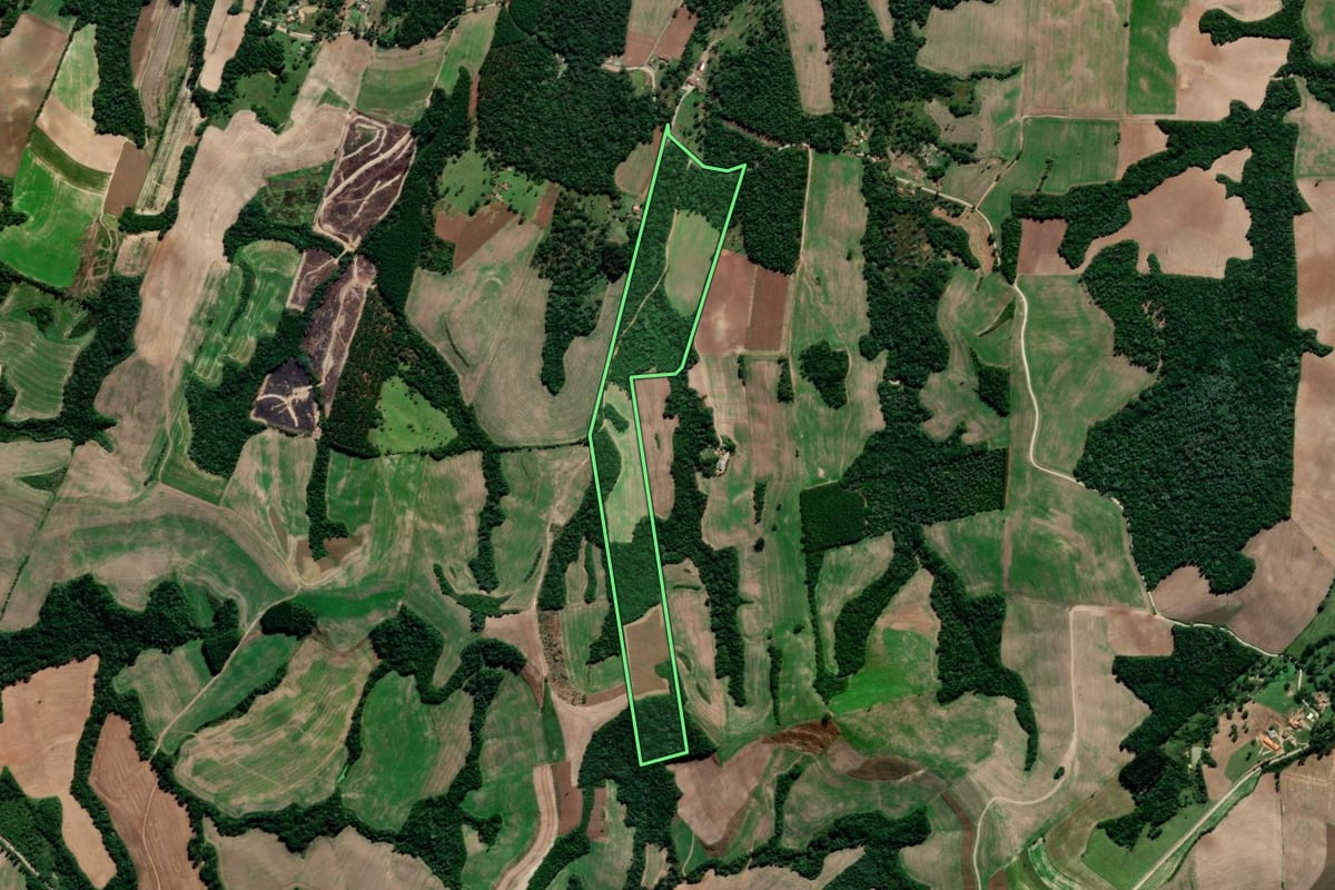 Imagem de satélite do imóvel rural em Irati (PR), com o contorno declarado no CAR desenhado por cima.