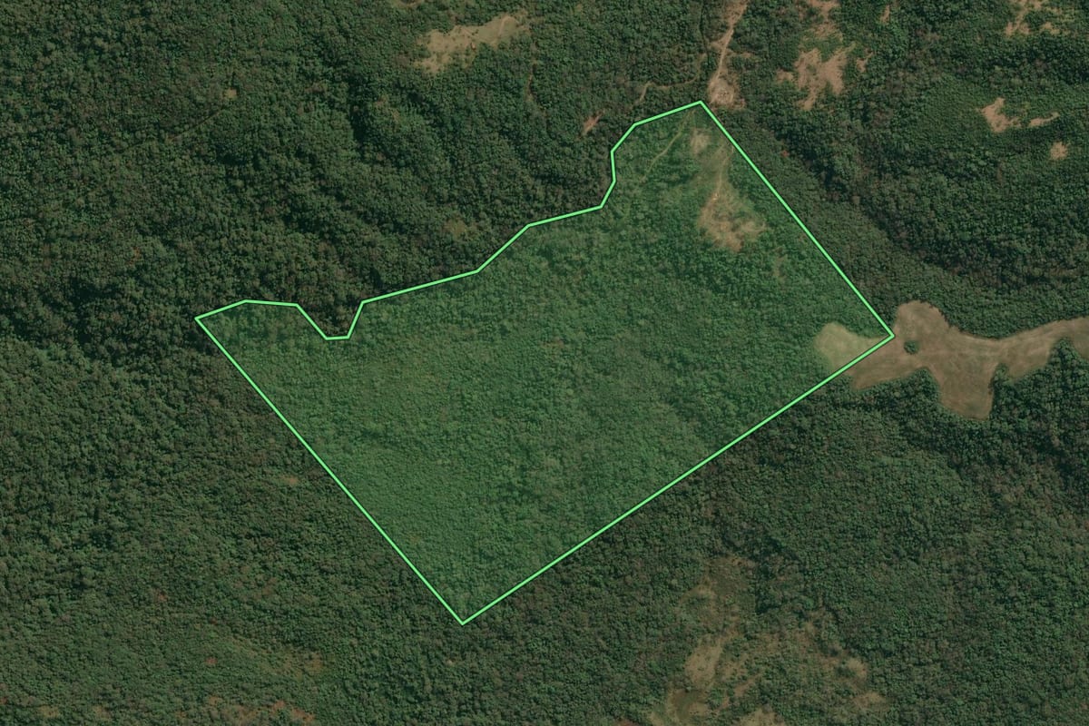 Imagem de satélite do imóvel rural em Irati (PR), com o contorno declarado no CAR desenhado por cima.