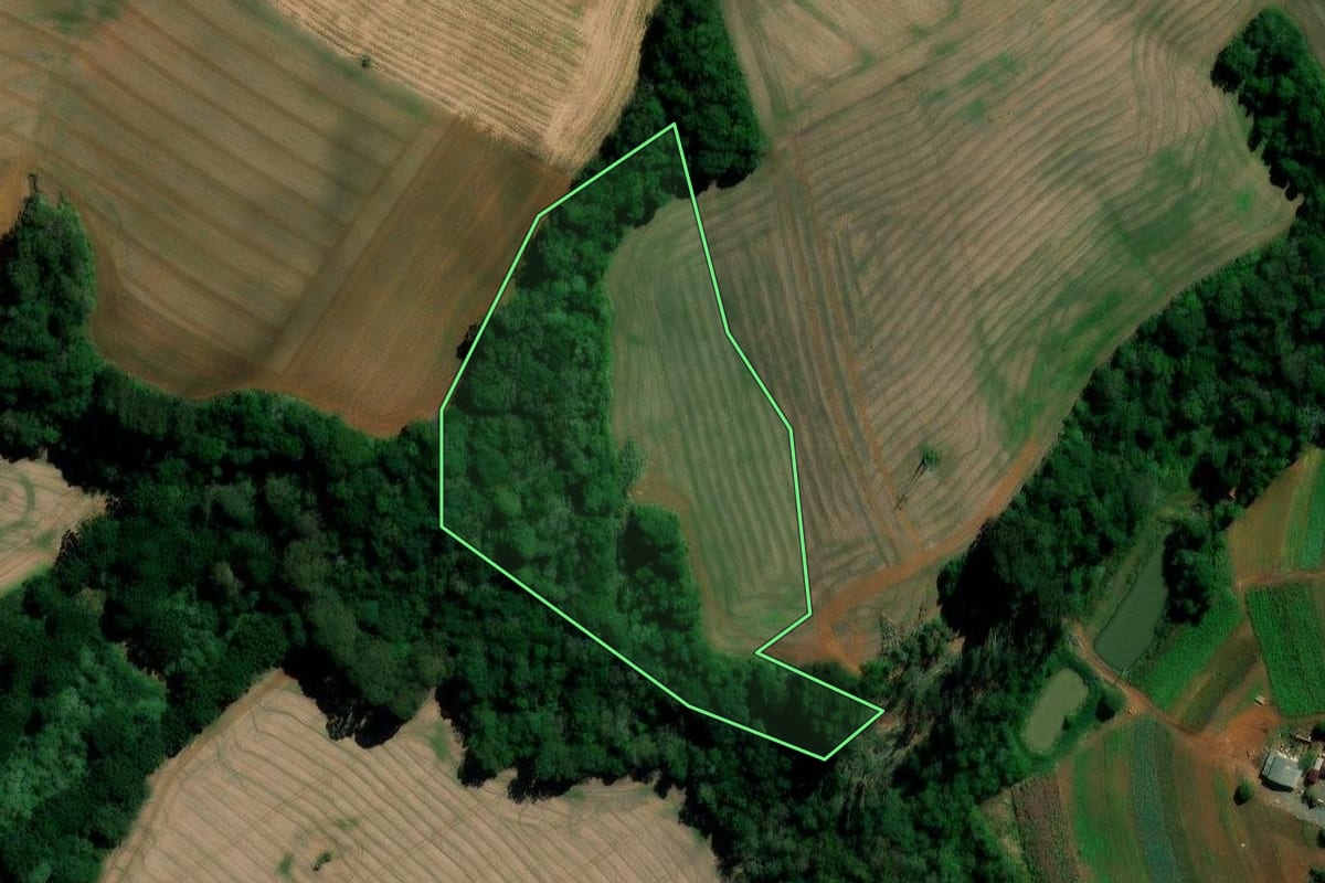 Imagem de satélite do imóvel rural em Irati (PR), com o contorno declarado no CAR desenhado por cima.