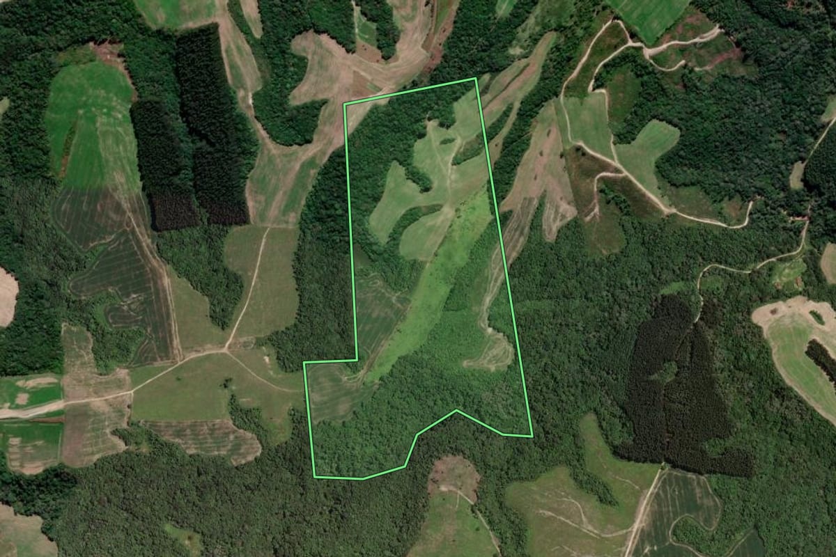 Imagem de satélite do imóvel rural em Irati (PR), com o contorno declarado no CAR desenhado por cima.