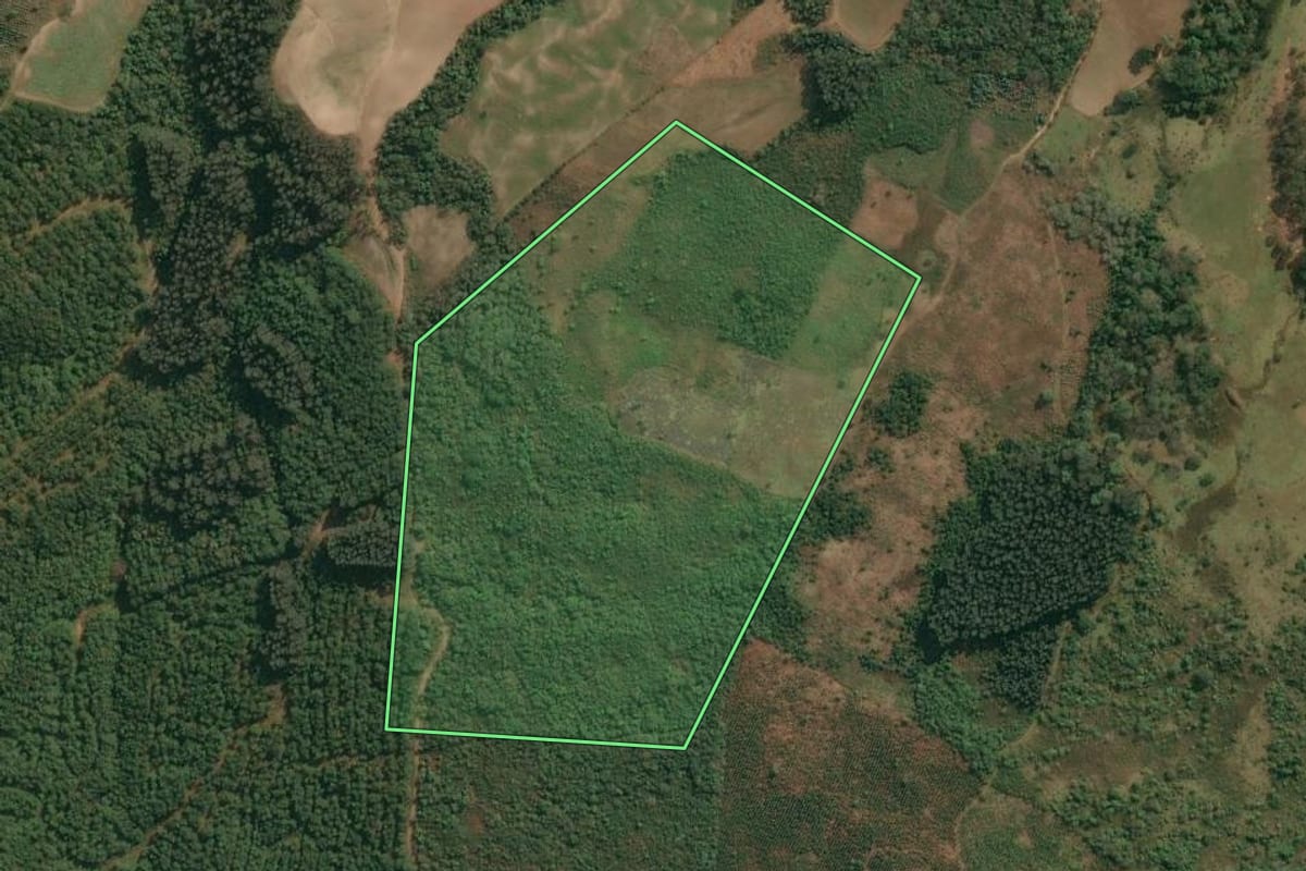 Imagem de satélite do imóvel rural em Irati (PR), com o contorno declarado no CAR desenhado por cima.