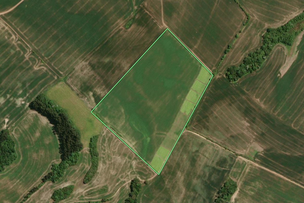 Imagem de satélite do imóvel rural em Irati (PR), com o contorno declarado no CAR desenhado por cima.