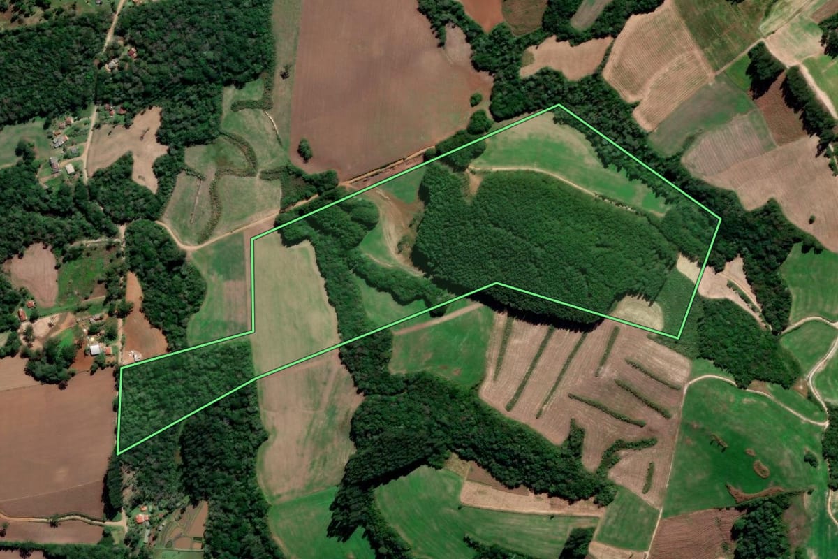 Imagem de satélite do imóvel rural em Irati (PR), com o contorno declarado no CAR desenhado por cima.
