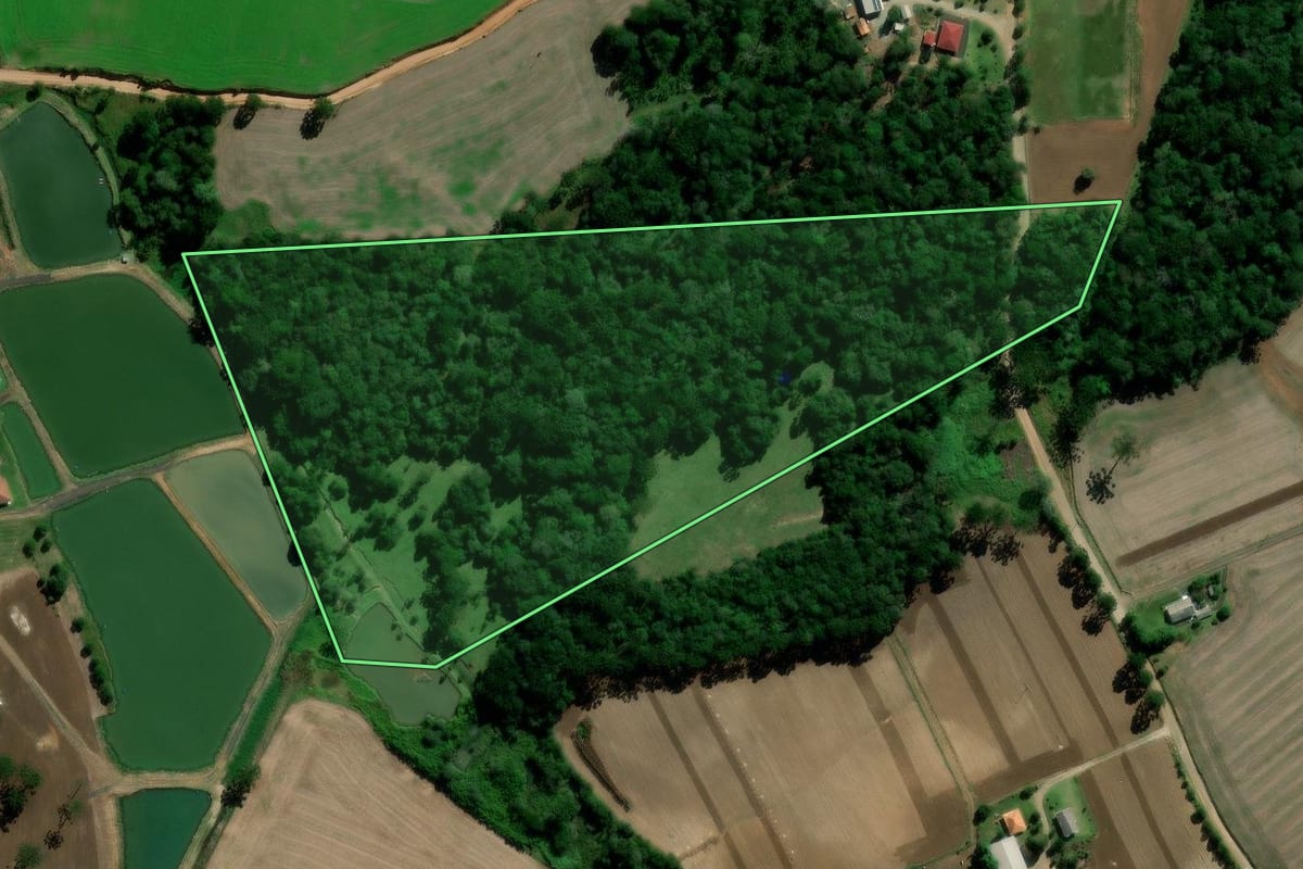Imagem de satélite do imóvel rural em Irati (PR), com o contorno declarado no CAR desenhado por cima.