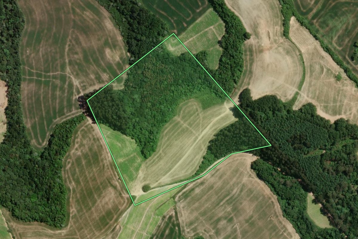 Imagem de satélite do imóvel rural em Irati (PR), com o contorno declarado no CAR desenhado por cima.
