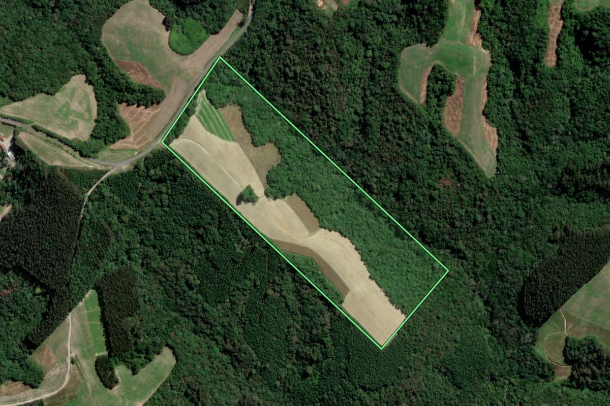 Imagem de satélite do imóvel rural em Irati (PR), com o contorno declarado no CAR desenhado por cima.
