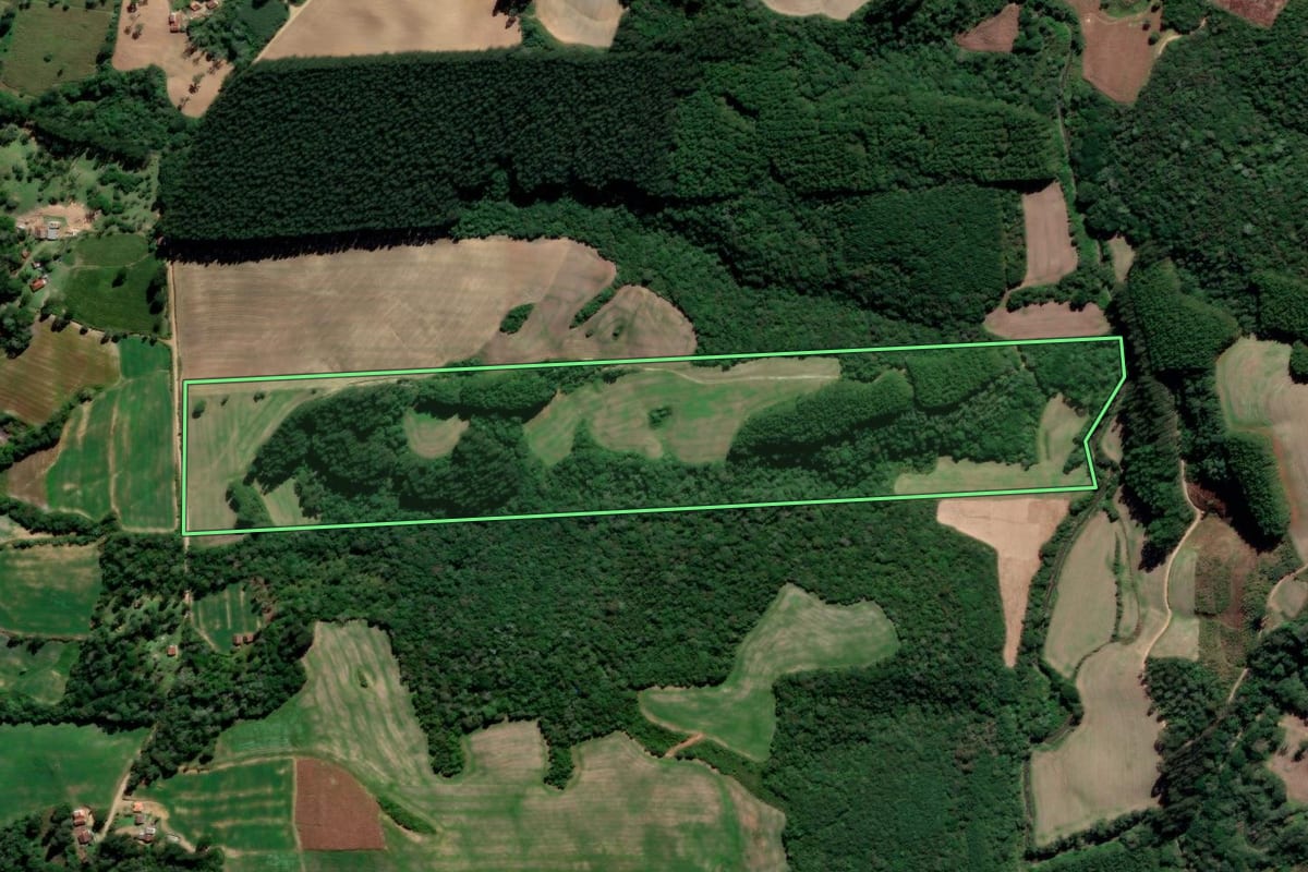 Imagem de satélite do imóvel rural em Irati (PR), com o contorno declarado no CAR desenhado por cima.
