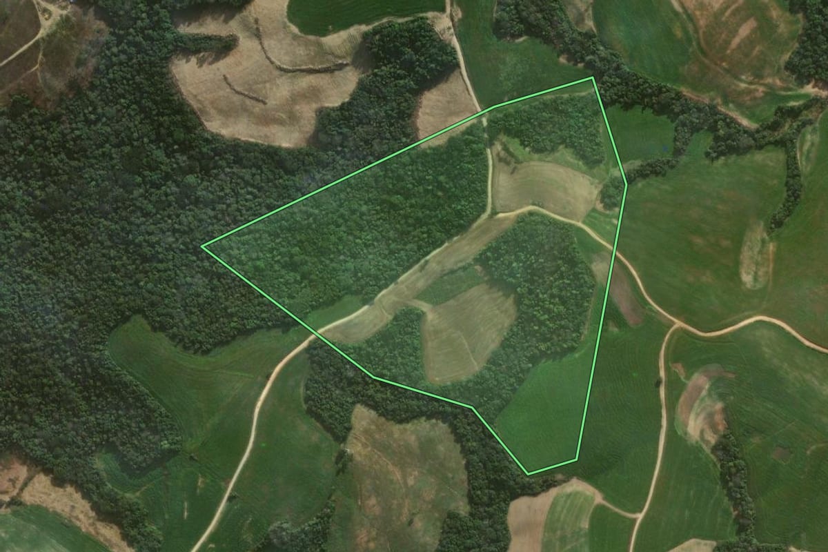 Imagem de satélite do imóvel rural em Irati (PR), com o contorno declarado no CAR desenhado por cima.