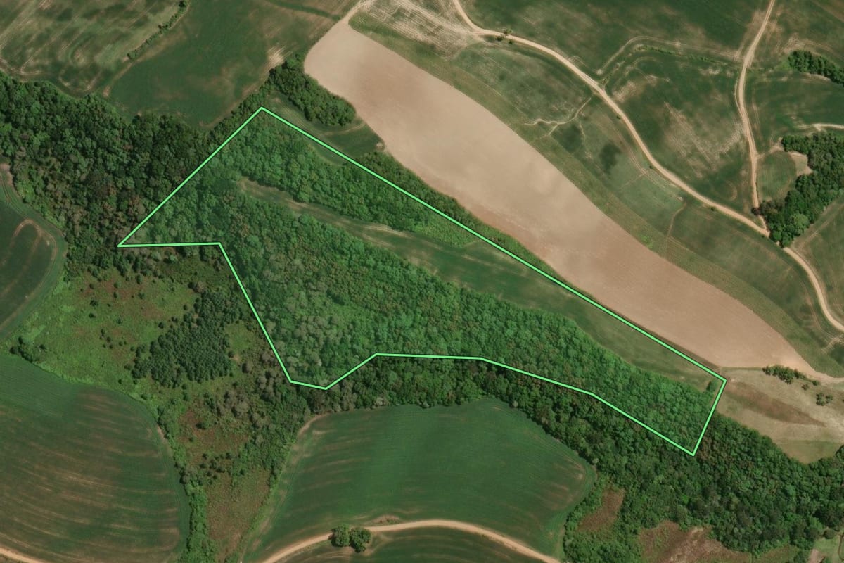 Imagem de satélite do imóvel rural em Irati (PR), com o contorno declarado no CAR desenhado por cima.