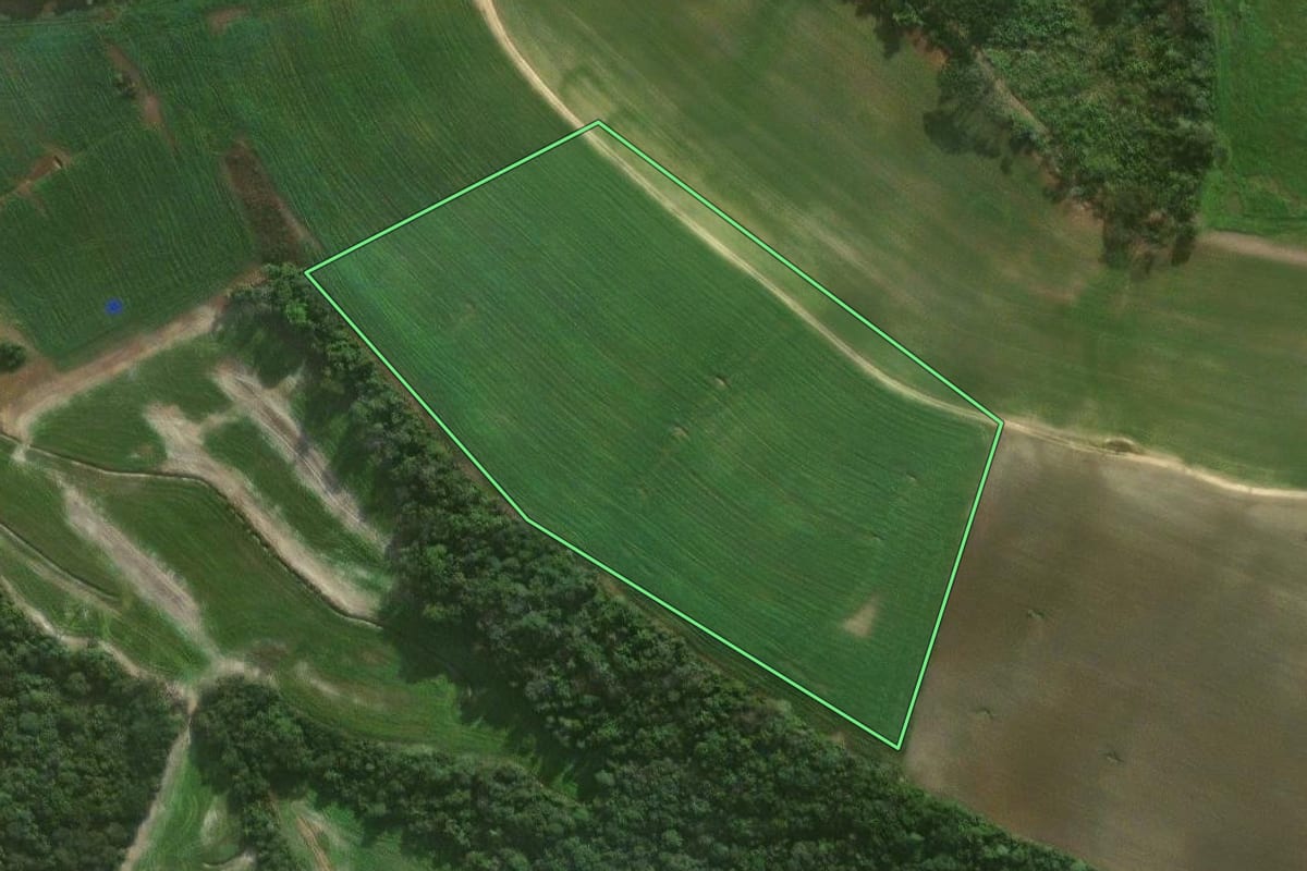 Imagem de satélite do imóvel rural em Irati (PR), com o contorno declarado no CAR desenhado por cima.