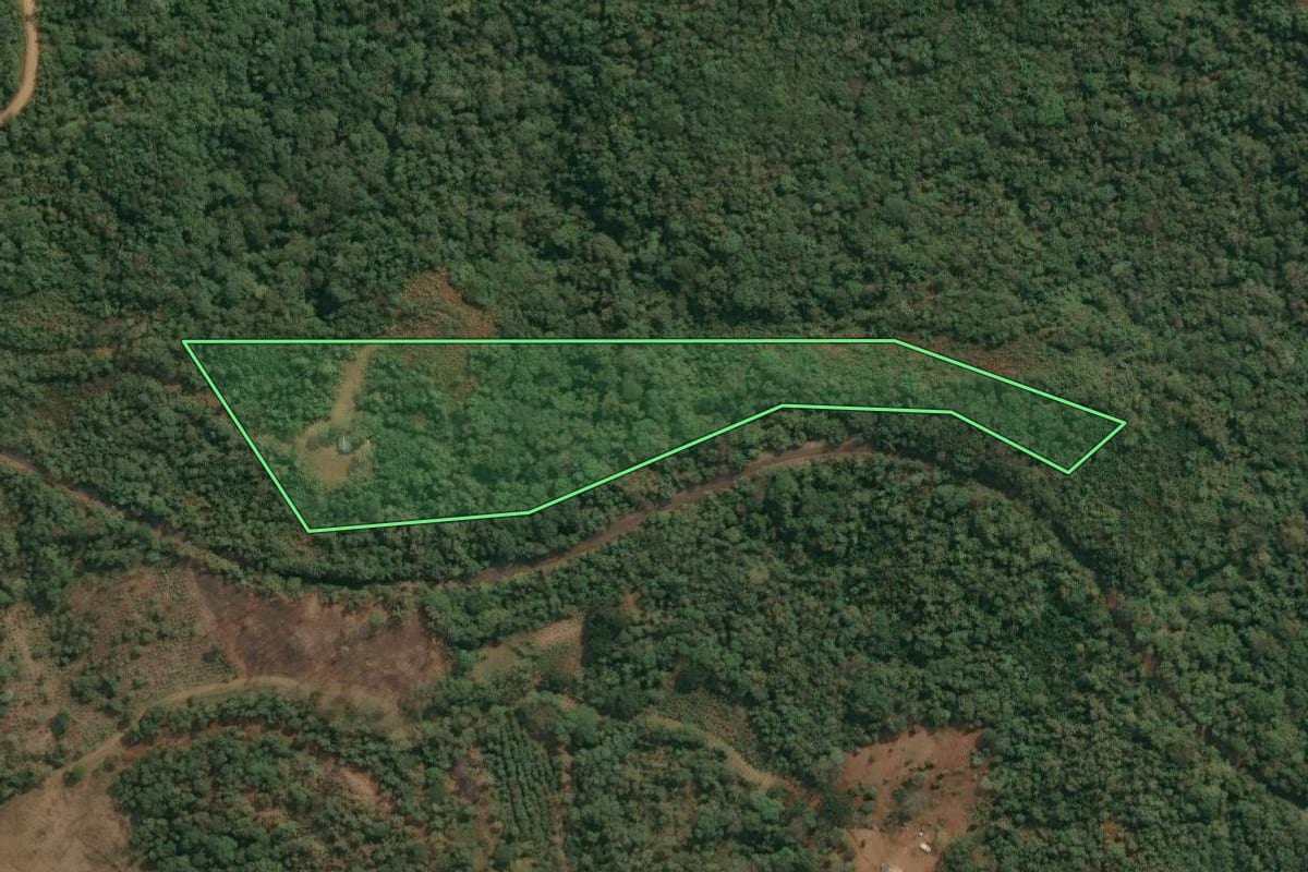 Imagem de satélite do imóvel rural em Irati (PR), com o contorno declarado no CAR desenhado por cima.
