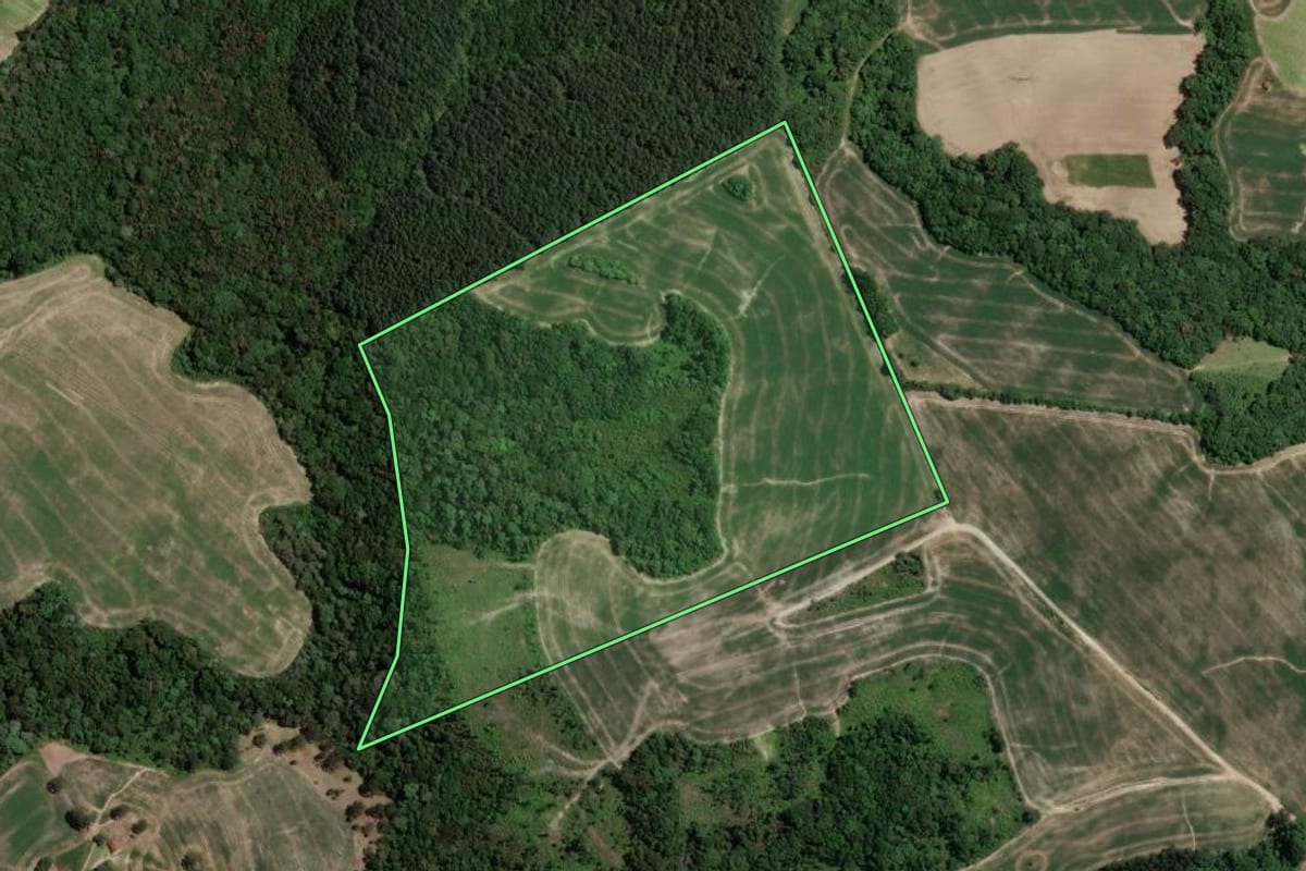 Imagem de satélite do imóvel rural em Irati (PR), com o contorno declarado no CAR desenhado por cima.