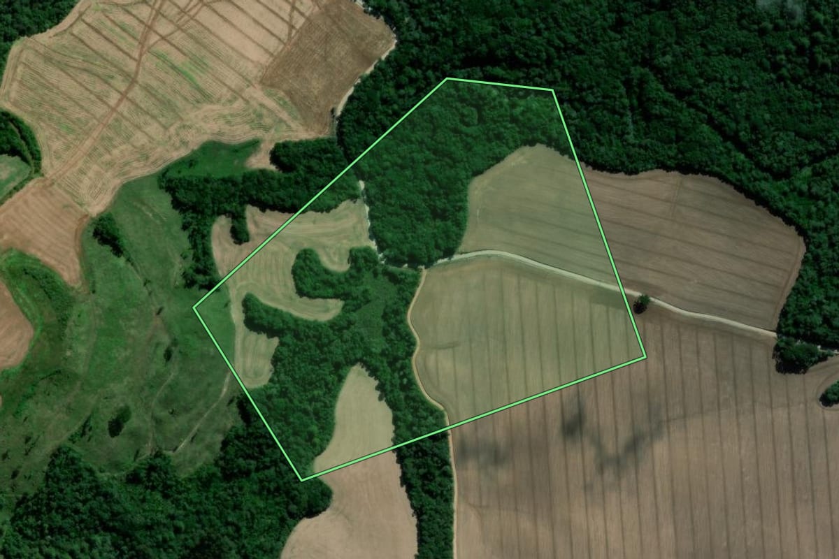 Imagem de satélite do imóvel rural em Irati (PR), com o contorno declarado no CAR desenhado por cima.