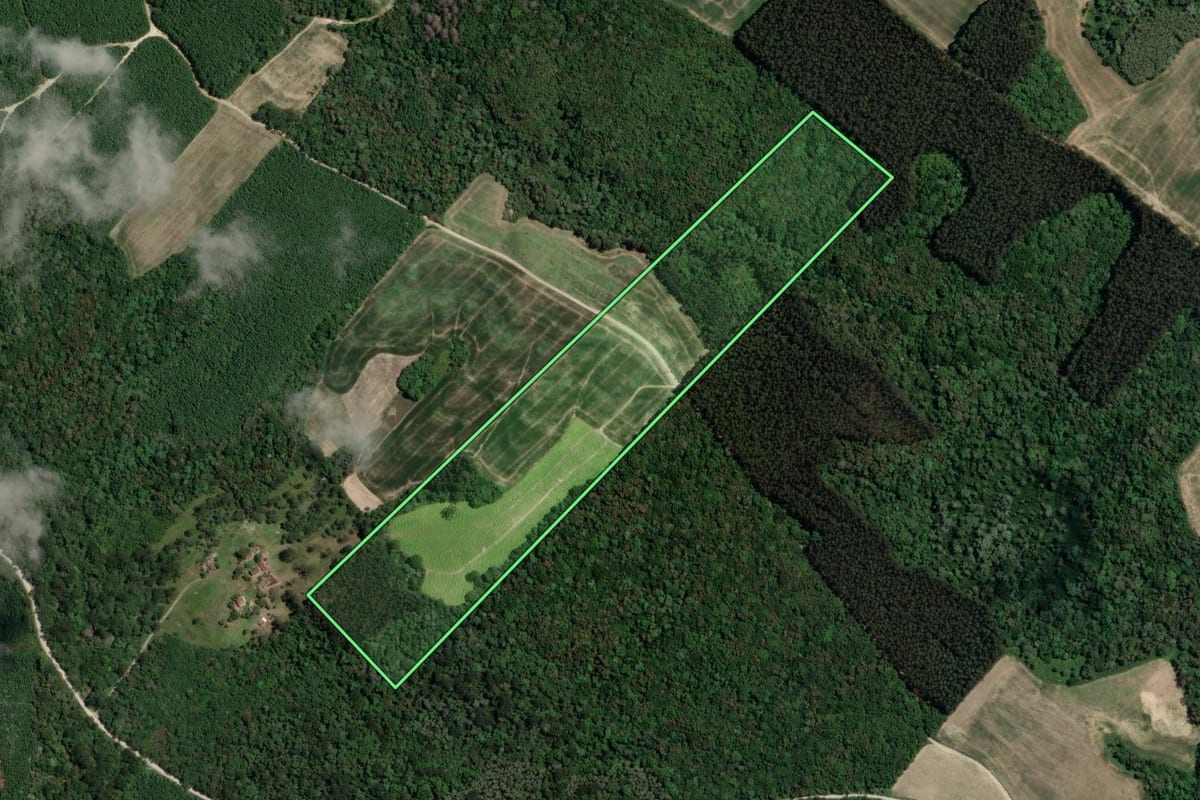 Imagem de satélite do imóvel rural em Irati (PR), com o contorno declarado no CAR desenhado por cima.