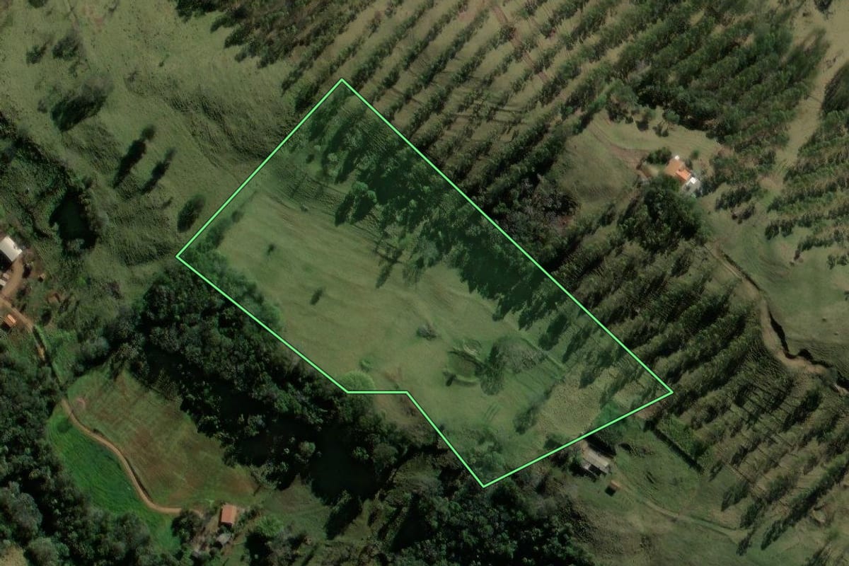 Imagem de satélite do imóvel rural em Iretama (PR), com o contorno declarado no CAR desenhado por cima.