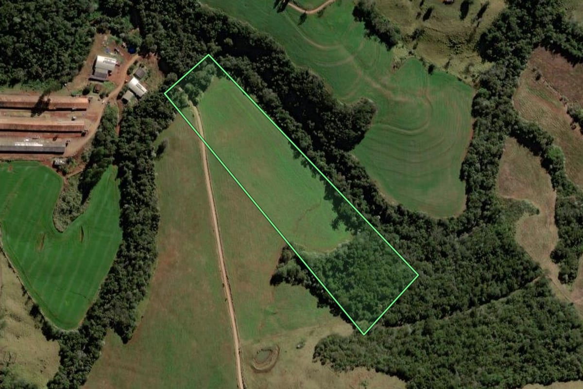 Imagem de satélite do imóvel rural em Iretama (PR), com o contorno declarado no CAR desenhado por cima.