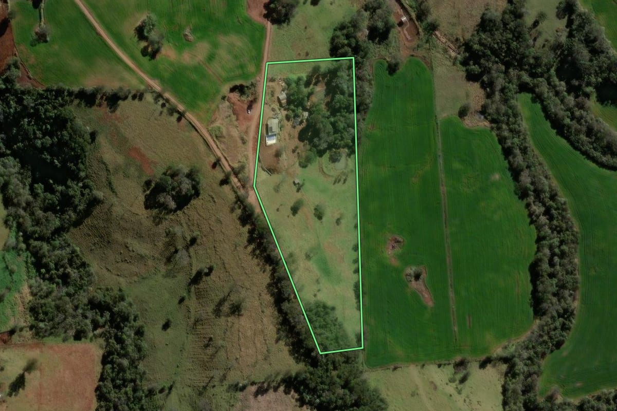 Imagem de satélite do imóvel rural em Iretama (PR), com o contorno declarado no CAR desenhado por cima.