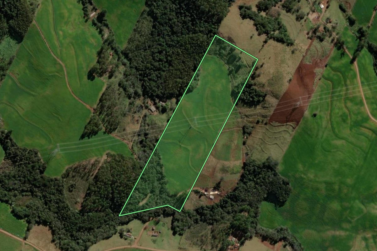 Imagem de satélite do imóvel rural em Iretama (PR), com o contorno declarado no CAR desenhado por cima.